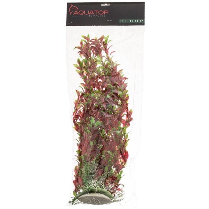 Aquatop Hygro Aquarium Plant - Red & Green