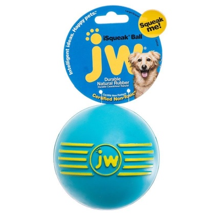 JW Pet iSqueak Ball - Rubber Dog Toy