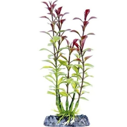 Penn Plax Sinkers Blooming Ludwigia Aquarium Plant Red