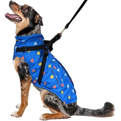 Fashion Pet Puffy Heart Harness Coat Blue