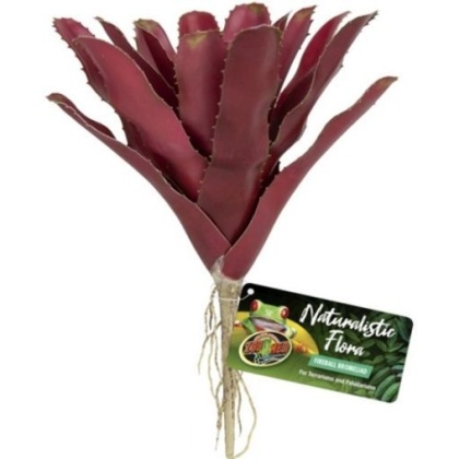 Zoo Med Naturalistic Flora Fireball Bromeliad